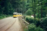 Bad Schandau Kirnitzschtal 241 near Ostrauer Mühle (Zeltplats) (1996)