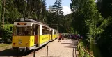 Bad Schandau Kirnitzschtal 241 with railcar 6 at Kurpark (2015)