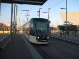 Barcelona tram line T6 with low-floor articulated tram 11, the front La Farinera (2015)