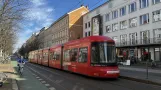 Berlin fast line M1 with low-floor articulated tram 8003 at Schwedter Straße (2025)