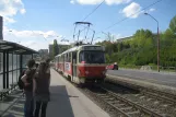 Bratislava tram line 4 with railcar 7813 at Botanická záhrada (2008)