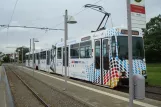 Braunschweig tram line 1 with articulated tram 8153 at Stöckheim Salzdahlumer Weg (2012)