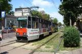 Częstochowa tram line 1 with railcar 638 at Plac Europy (2008)