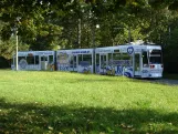 Darmstadt tram line 3 with low-floor articulated tram 9860 at Lichtenbergschule (2024)