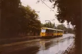 Dresden tram line 16 with railcar 222-479-8 near Zellescher Weg (1990)