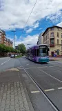 Frankfurt am Main tram line 14 with low-floor articulated tram 266 on Allerheiligentor (2024)