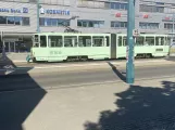 Frankfurt (Oder) tram line 4 with articulated tram 219 on Brunnenplatz (2022)