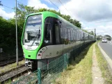 Hannover tram line 5 with articulated tram 3034 near Anderten (2024)