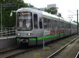 Hannover tram line 6 with articulated tram 2593 at Kerstingstraße (2020)