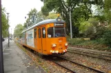 Heidelberg grinder car 200 on Kürfüsten Anlage (2009)