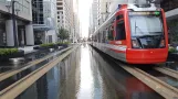 Houston tram line Red with low-floor articulated tram 305 on Main St (2018)