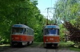 Kaliningrad tram line 1 with railcar 505 in Stancyja Oktiabrskaja (2012)