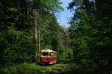 Kiev tram line 12 with railcar 5815 at Lisova (2011)