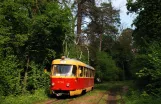 Kiev tram line 7 with railcar 5730 at Spetsdyspanser (2011)