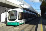 Ludwigshafen tram line 10 with low-floor articulated tram 221 at Schützenstr. (2009)