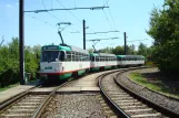 Magdeburg tram line 9 with railcar 1168 at Neustädter See (2008)