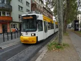 Mainz tram line 51 with low-floor articulated tram 208 at Lessingstraße (2024)