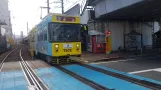 Nagasaki tram line 3 with railcar 1302 at Matsuyama Machi (2017)