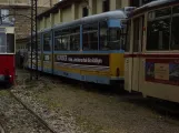 Naumburg (Saale) articulated tram 202 at Naumburger Straßenbahn (2023)