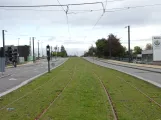 Odense on Middelfartvej (2021)