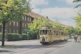 Postcard: Copenhagen animal show line Buh on Borups Allé (1963)