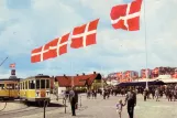 Postcard: Copenhagen animal show line Buh with sidecar 1569 at Dyrskuepladsen Bellahøj (1958-1961)