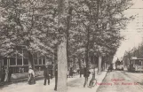 Postcard: Copenhagen tram line 1 with open sidecar 253 on Frederiksberg Allé (1902)