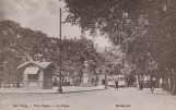 Postcard: Den Haag - The Hague - La Haye.
 (1914-1916)