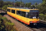 Postcard: Karlsruhe regional line S4 with articulated tram 802 near Berghausen (1991)