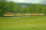 Postcard: Neuchâtel regional line 215 near Colombier (1980)