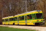 Postcard: Neuchâtel regional line 215 with railcar 506 "Neuchâtel" near Bas-des-Allées (1991)