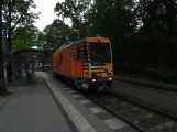 Potsdam service vehicle 303, the front Bhf Rehbrücke (2023)