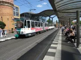 Potsdam tram line 92 with articulated tram 156 at S Hauptbahnhof (2024)