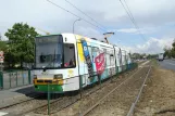 Poznań tram line 12 with articulated tram 410 at Serafitek (2008)