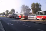 Prague railcar 7082 on Milady Horákové (2005)