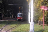 Prague railcar 8434 at Výstaviště Holešovice (2005)