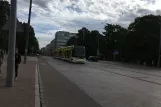Riga tram line 11 with low-floor articulated tram 57191, the front Aspazijas bulvāris (2018)