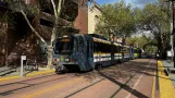 Sacramento tram line Blue with articulated tram 221 near 8th & K Station (NB) (2024)