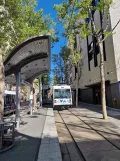 San Jose Blue Line with low-floor articulated tram 972 at San Antonio (2024)