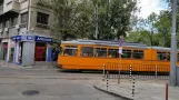 Sofia tram line 22 with articulated tram 4239 on bul. "Yanko Sakazov" (2014)