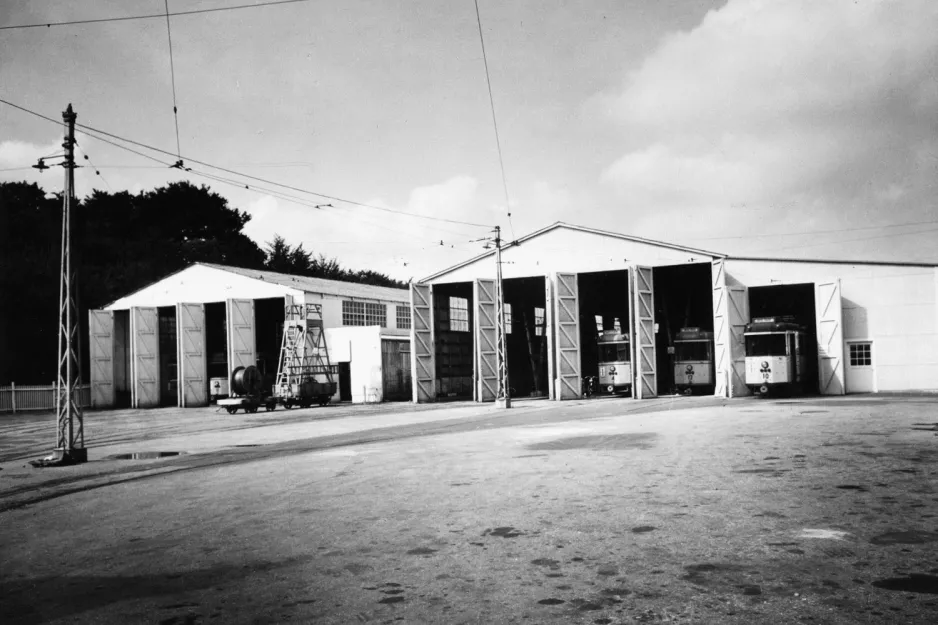 Archive photo: Aarhus horse-drawn tower wagon in front of Dalgas Avenue (1954)