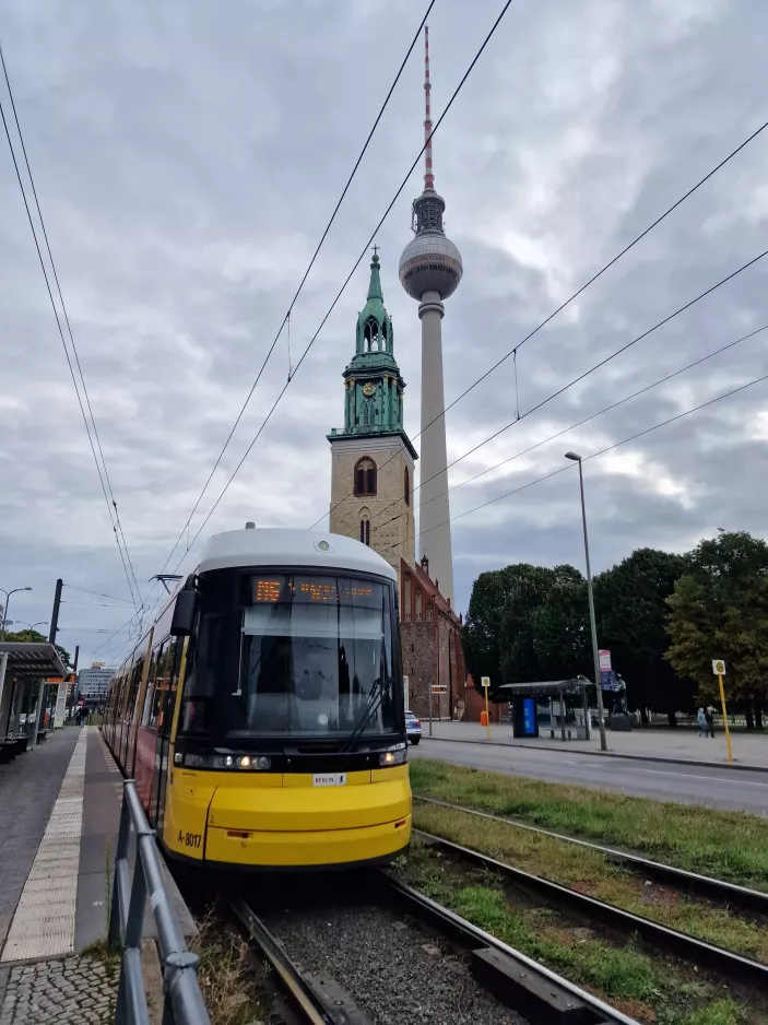 Berlin fast line M6 with low-floor articulated tram 8017 at Spandauer Str. / Marienkirche (2023)