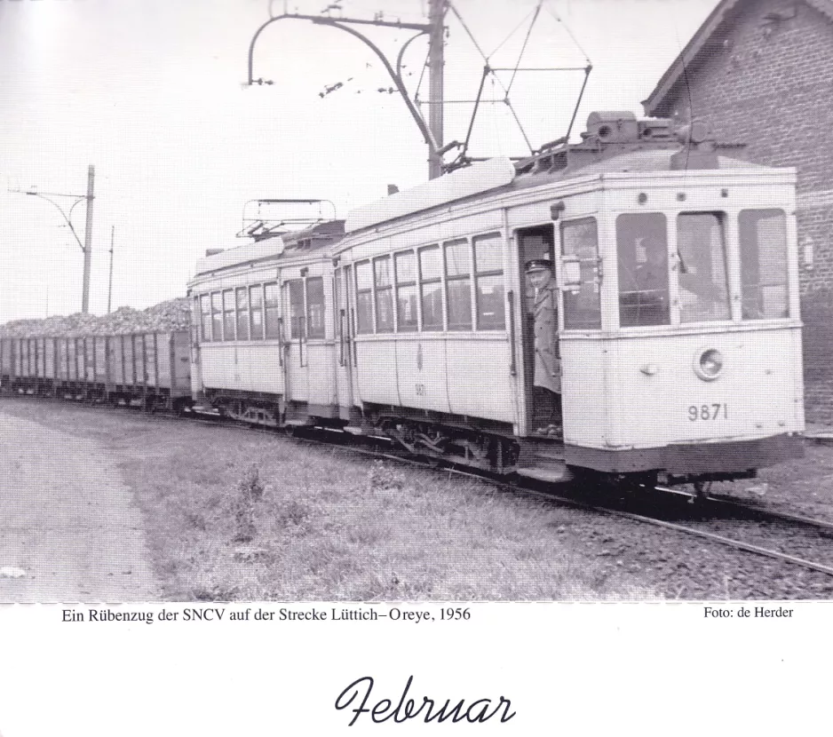 Calendar: Ein Rübenzug der SNCV auf der Strecke Lüttich-Oreye
(1956)