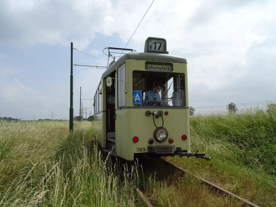 Hannover Aaßenstrecke with railcar 389 at Field at Stichkanal (2018)