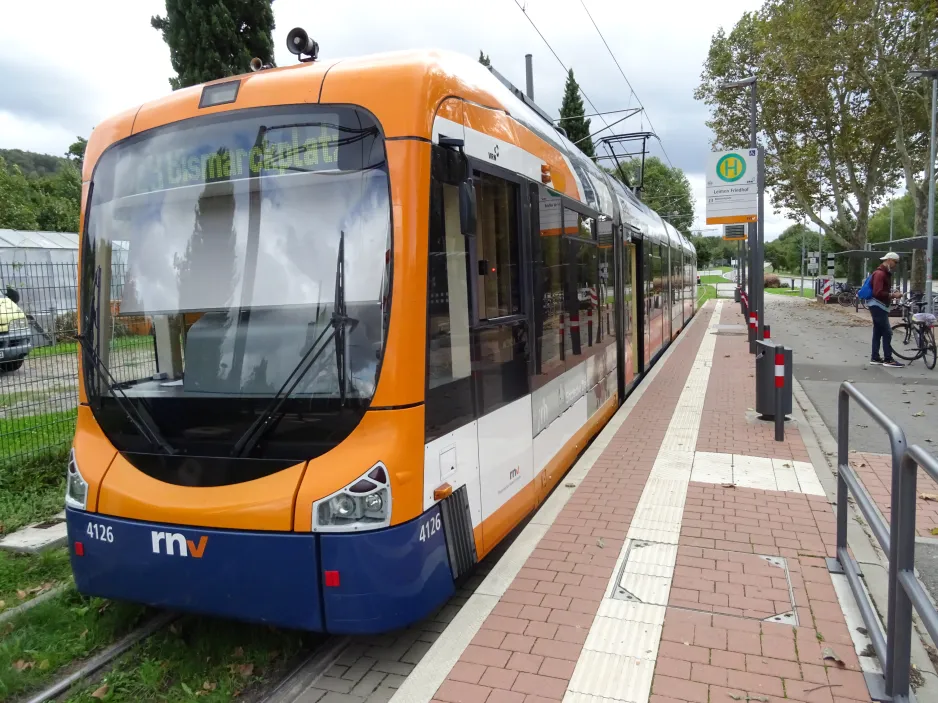 Heidelberg tram line 23 with low-floor articulated tram 4126 at Leimen Friedhof (2024)