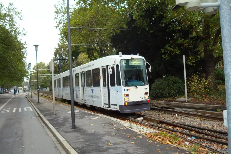 Heidelberg tram line 24 with articulated tram 252 close by Stadtwerke (2009)