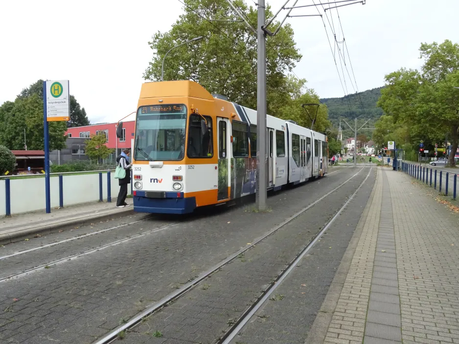 Heidelberg tram line 24 with articulated tram 3252 at Heiligenbergschule (2024)