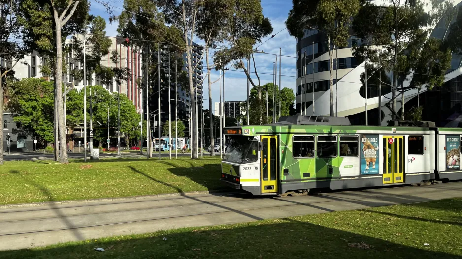 Melbourne tram line 19) with articulated tram 2033 at Haymarket (2024)