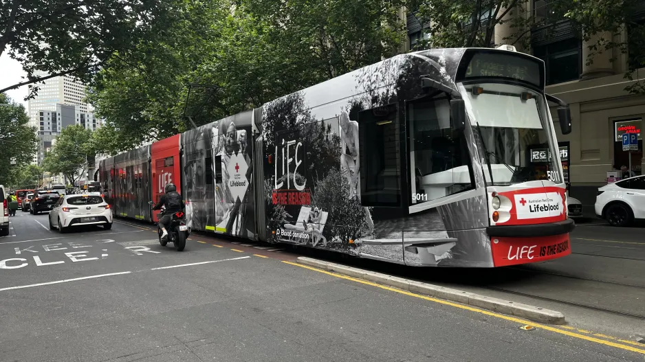 Melbourne tram line 59 with low-floor articulated tram 5011 on Elizabeth Street (2024)