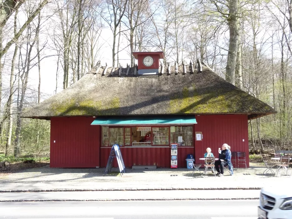 Odense at Hunderup Skov (2019)